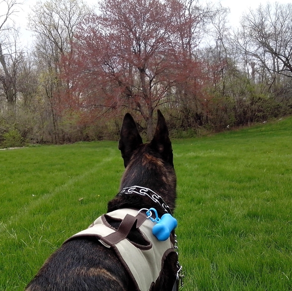 Meet your Posher - Picture 4 of 7